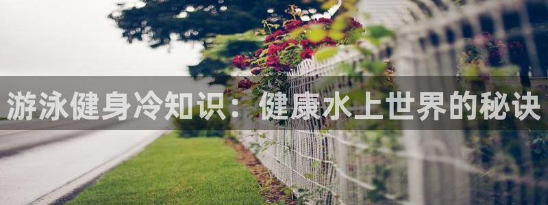 QY球友会官网